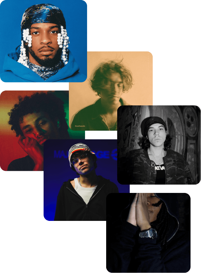 A collage of artists ELVTE has worked with