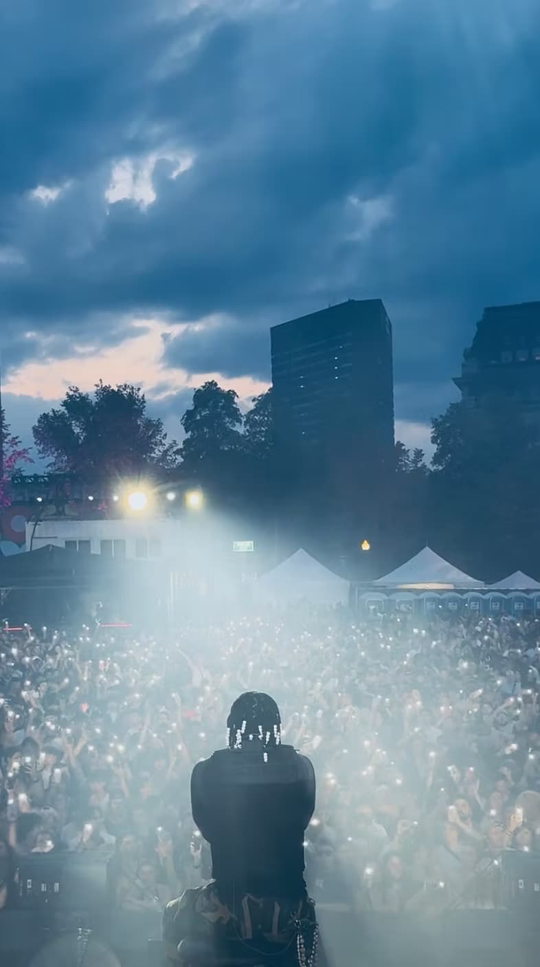 An ELVTE artist performing to a packed crowd lit up with phone lights at dusk
